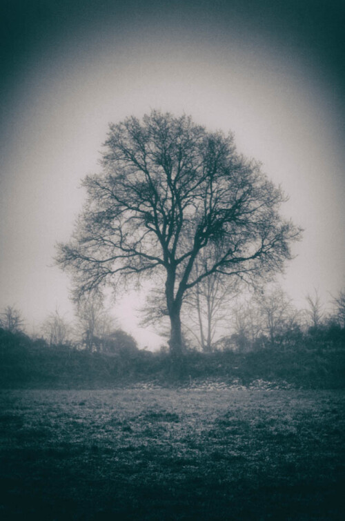 2k-brouillard-givrant-11.jpg