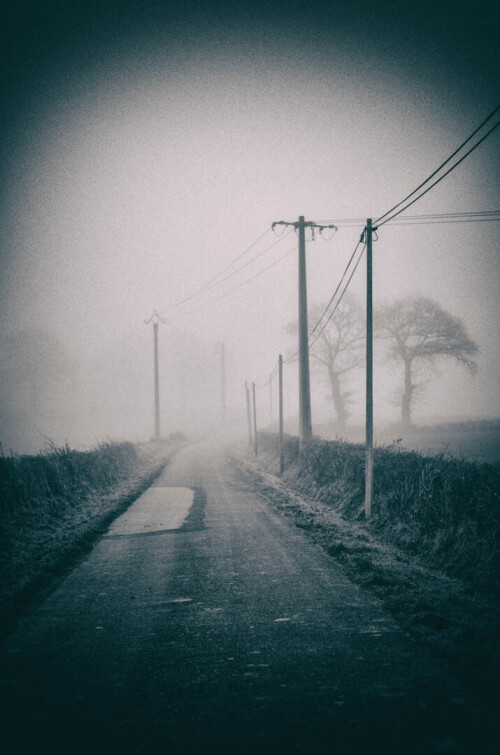 2k-brouillard-givrant-2.jpg