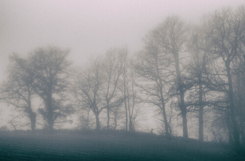 2k-brouillard-givrant-7.jpg