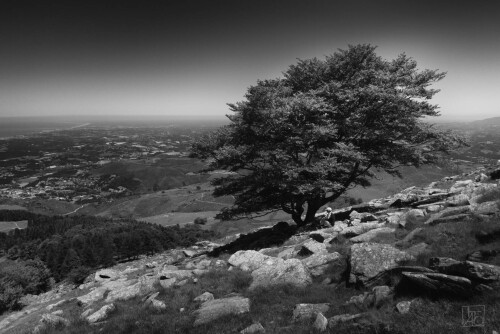 2k-la-rhune-sentier-2.jpg