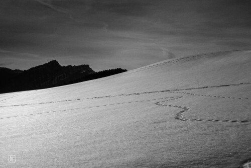 2k-snow-contrast-1.jpg