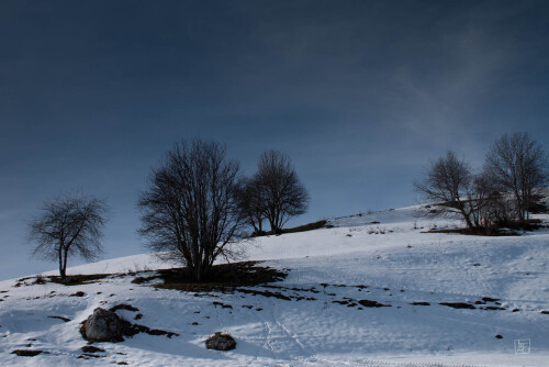 2k-snow-contrast-3.jpg